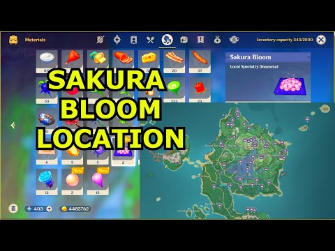 All Sakura Bloom Location + Map  - Genshin Impact