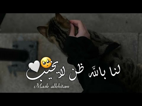 لكن لنا فيه ظنٌّ لايخيبنا✨♥️||حالات واتس اب اسلامية♥️|| اناشيد حب دينية♥️|| اجمل حالات واتس 2023