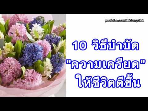 ที่จะได้รับเชื้อโรคม้า การรักษาความแข็งแรงอ่อนแอ