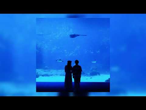 Mattyeux - Sometimes (Instrumental / clean separated audio)