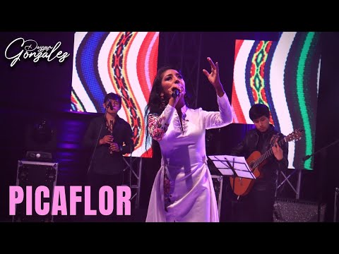 Dayyam Gonzales - Picaflor