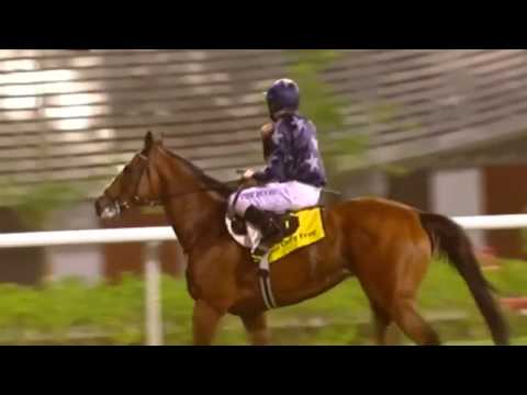 2011 Dubai Duty Free Stakes G1 - Presvis (百威勝) - R.Moore (締造美麗領放至直路無以為繼只能跑第八)