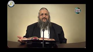 חוק לישראל - פרשת וירא - יום ראשון | הרב שלמה לוינשטיין (ארגון קול הלשון) - התמונה מוצגת ישירות מתוך אתר האינטרנט יוטיוב. זכויות היוצרים בתמונה שייכות ליוצרה. קישור קרדיט למקור התוכן נמצא בתוך דף הסרטון