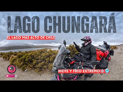 🤯 NUNCA había visto NEVAR❄️ ... Hasta esta ruta al LAGO CHUNGARÁ // Motovlog de Arica a Putre ✨