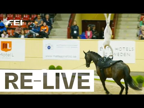RE-LIVE | Individual Female - Senior Compulsory I FEI Vaulting European Championship
