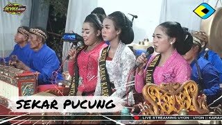 Download lagu SEKAR PUCUNG || SENI KARAWITAN NGUDI LARAS TERBARU 2024 - AUDIO DEVIKA mp3
