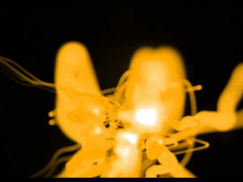 b-lash . alte zeiten