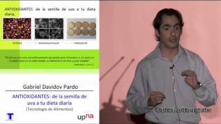 Antioxidantes: de la semilla de uva a tu dieta diaria