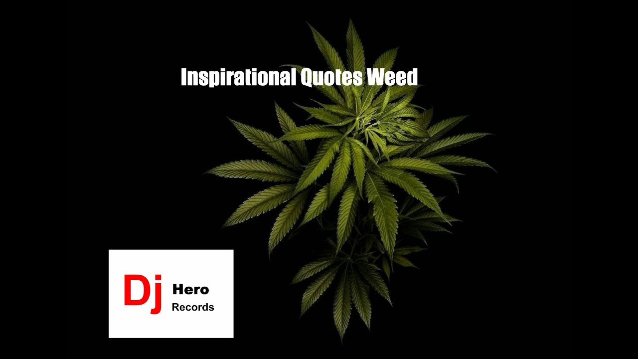 Top Inspirational Quotes Weed Whatsappp Status Weed  Inspirational