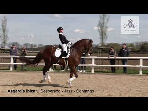 Asgards Ibiza 2024 UHD