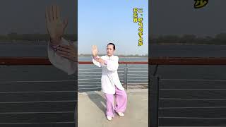 24-Step Simplified Tai Chi Form Tutorial