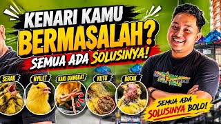 Download lagu KENARI KAMU SAKIT? JANGAN PANIK! INI SOLUSINYA mp3 Download lagu KENARI KAMU SAKIT? JANGAN PANIK! INI SOLUSINYA mp3
