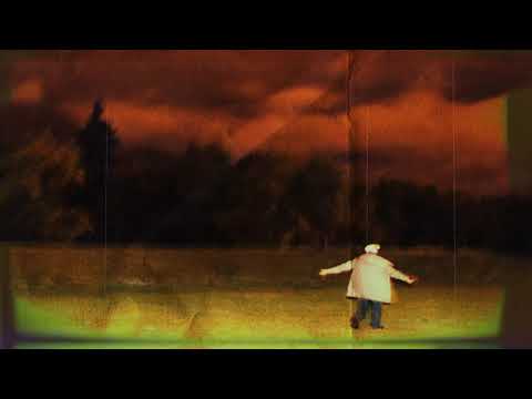 Shrimpnose - Without