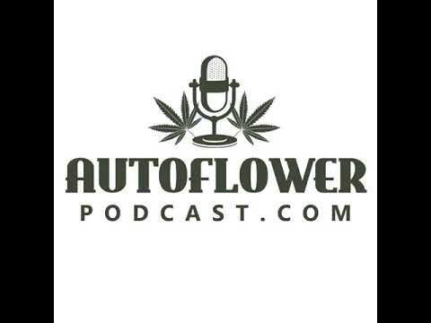 Ep55: Dialing in an Indoor Grow Environment w/ Mr.FloGrown420