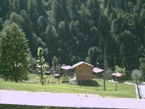 Gülşen Civelek - Cerrahpaşa