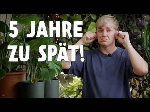 I wish I'd known these 7 Monstera care tips 5 years ago! 🤯