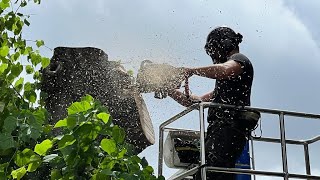 Preview of 4   Made with Clipchamp 1710860401512.