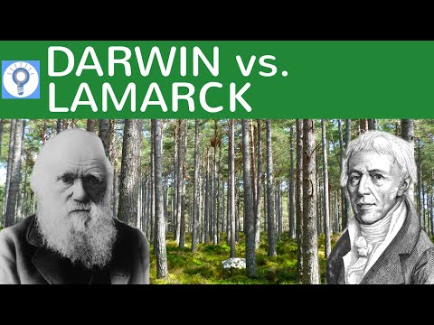 Darwin vs. Lamarck - Comparing the Evolutionary Theories of Lamarck and Darwin | Evolution 8