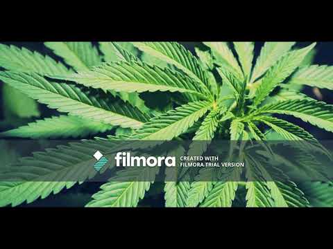 R1KAS - DUMU DIETA ( Edit Ginvis )