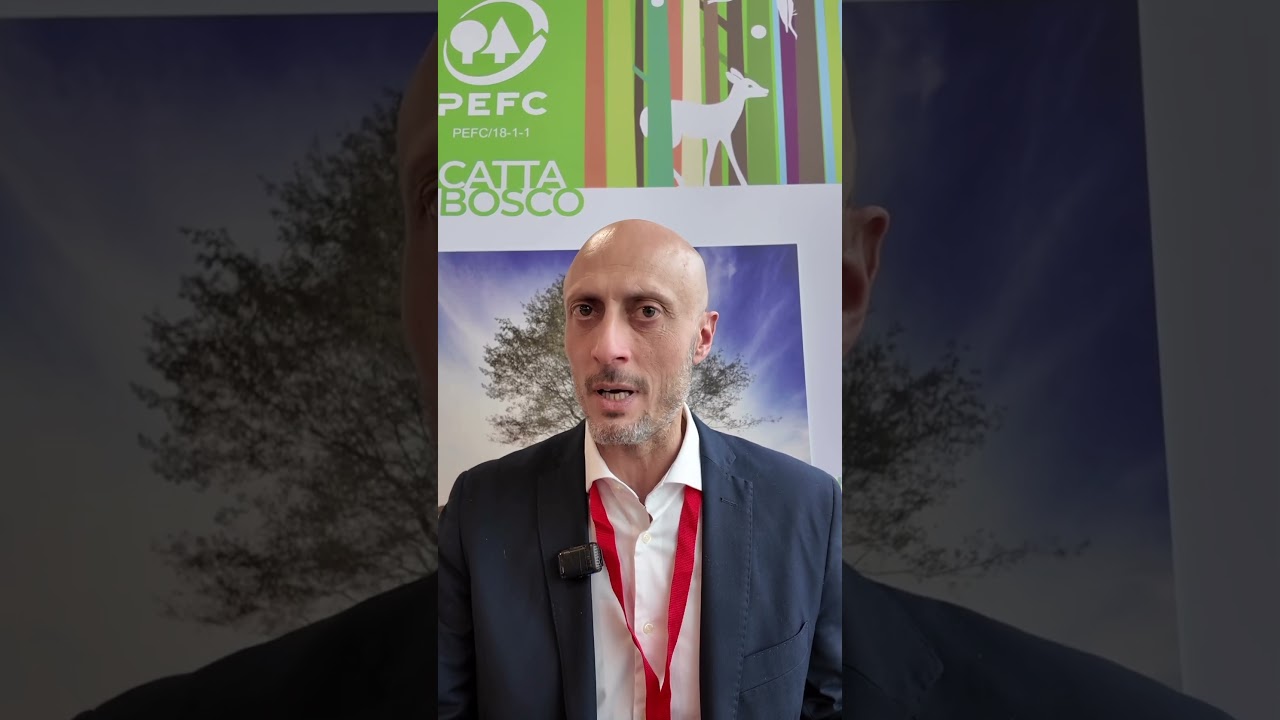 Quale è il ruolo delle foreste nella mitigazione del cambiamento climatico