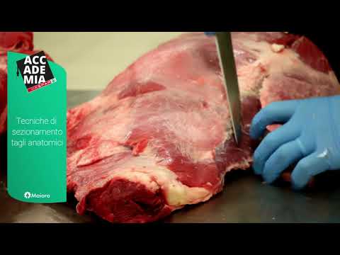 Corso per addetti macelleria: reale di scottona