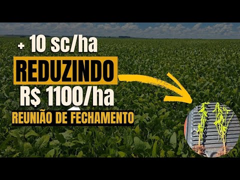 Reduzindo Custos de Produção na Soja - Fechamento Consultoria safra 24/25 Cruzália-SP