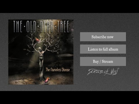 Somewhere Else video thumbnail