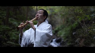 The Legend of Ashitaka / Princess Mononoke 