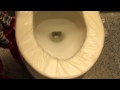 Coolest Toilet Ever Automatic Plastic Seat Changer