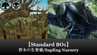 【Standard BO1】若木の生育場/Sapling Nursery #1【MTG ARENA】【ローウィンの昏明】