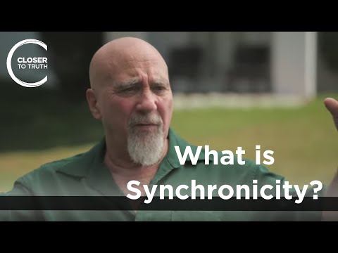 Stuart Hameroff - What is Synchronicity?