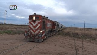 preview picture of video 'Dos pasadas de tren de FEPSA en cercanías de Rivera y Yutuyaco'