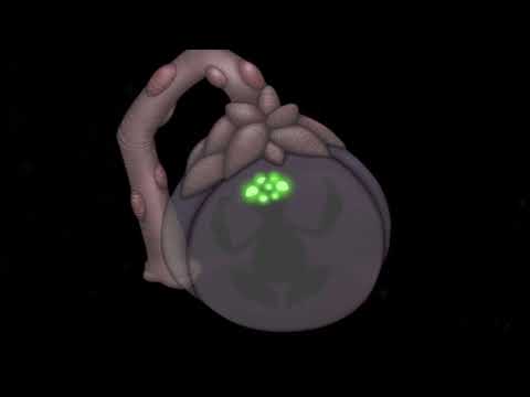 SpyTrap (ALL MONSTER SOUNDS) | My Singing Monsters!