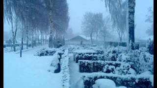 Elliot Rose - No One Knows I'm Gone ( Tom Waits )