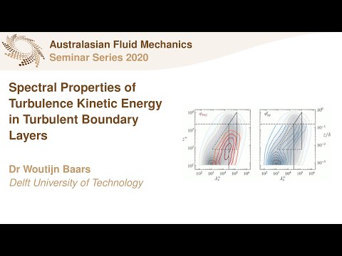 AFMS Webinar 2020 #19 - Dr Woutijn Baars (Delft University of Technology)