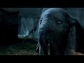 Mon Tout Petit English French Subtitles Dumbo 2019