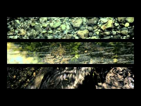 Alin GHERMAN : Vibrations (abstract clip)