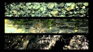 Alin GHERMAN : Vibrations (abstract clip)