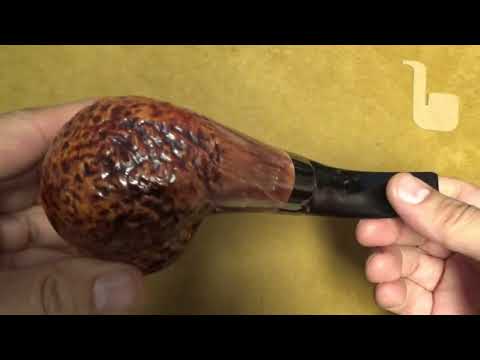 Pipa Ser Jacopo Rowlette - Unigena - C - MAXIMA MAXIMA MAXIMA - Bent Dublin - SJ328