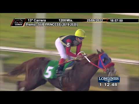 220625 c13 MY PIONEER (BRZ)