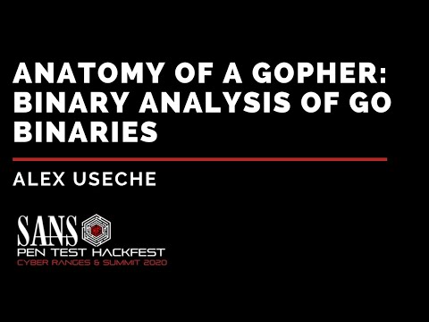 Anatomy of a Gopher: Binary Analysis of Go Binaries w/ Alex Useche - SANS HackFest Summit 2020