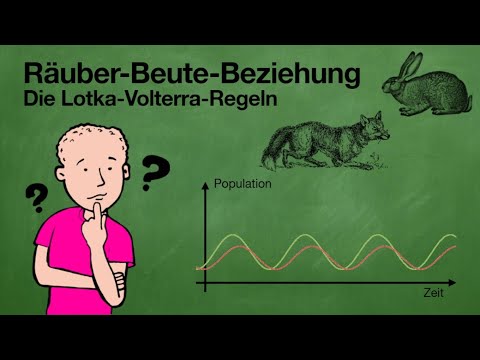 Die Räuber-Beute-Beziehung & die Lotka-Volterra-Regeln