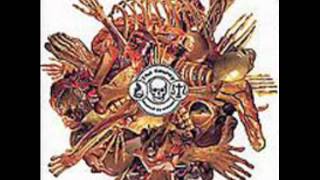 The County Medical Examiners - Medicocriminal Entomology