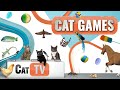 CAT Games | Ultimate Cat TV Compilation Vol 40 | 2 HOURS 🐝🐞🦋🦎🦜🐜🐭🧵