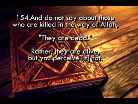 Special Surah Al Baqarah MP3 Video