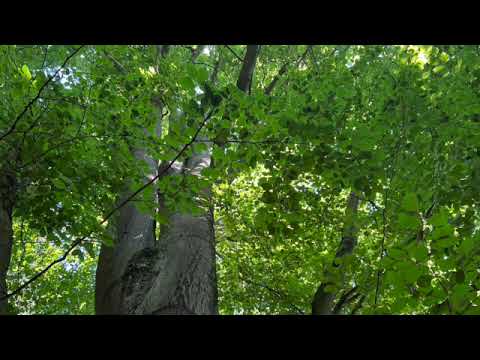 Loslassen - Kraft tanken