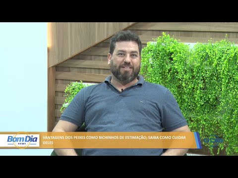 Vantagens dos peixes como bichinhos de estimação; saiba como cuidar deles 07 03 2022