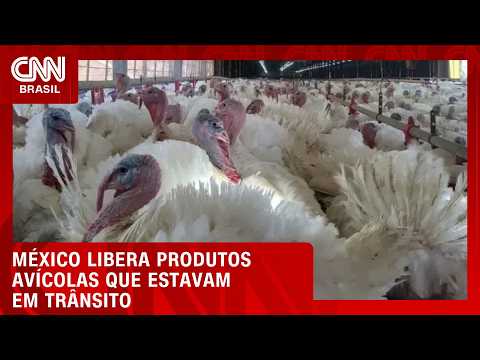 México autoriza entrada de cargas de frango fora de SC já embarcadas | CNN AGRO NEWS