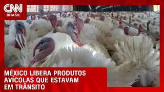 Vídeo: México autoriza entrada de cargas de frango fora de SC já embarcadas | CNN AGRO NEWS