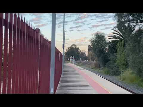 PN Locomotives  Grain train